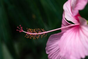 As Cores da Maturidade: Como Escolher Tons que Realçam sua Beleza Natural